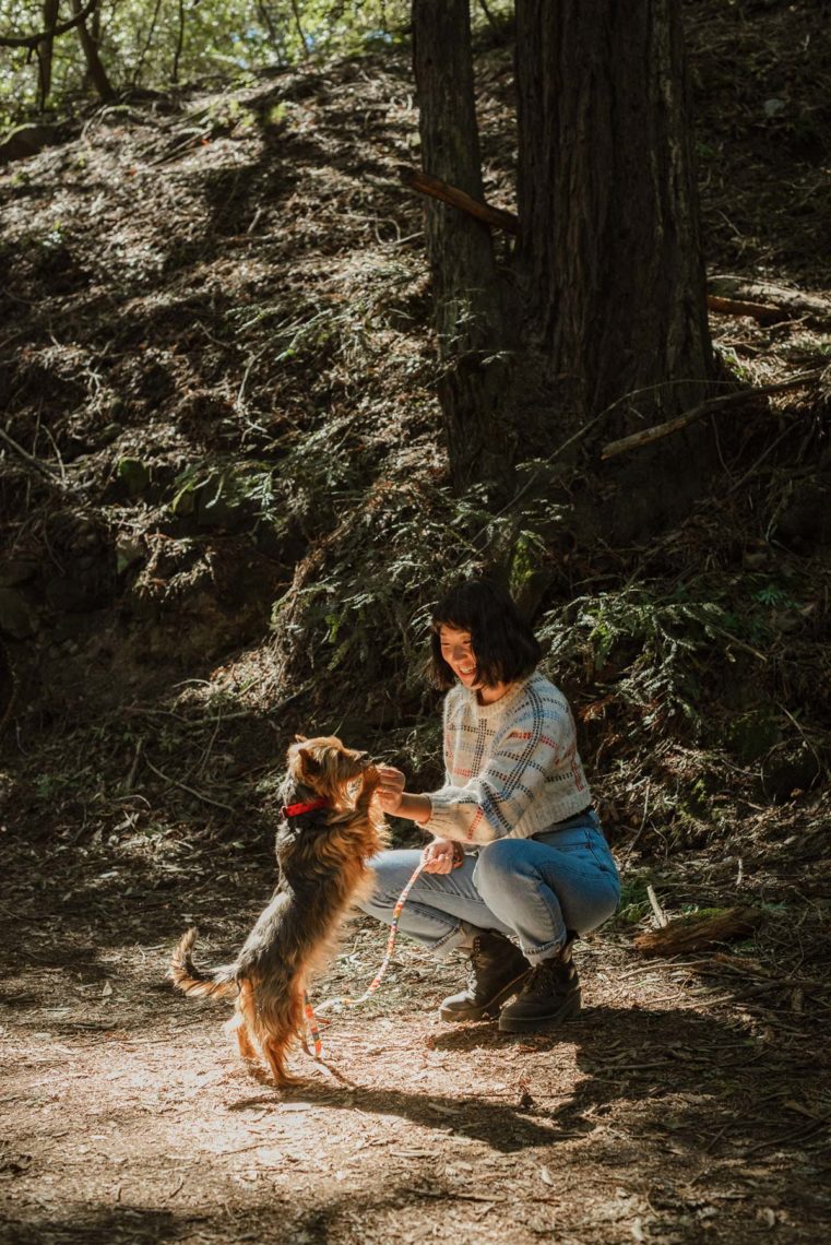 A kneeling woman gives a small dog a treat on a trail in the redwoods