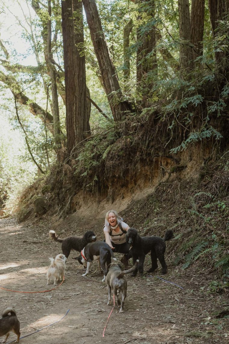 A woman smiles as she greets five dogs on a trail in the redwoods