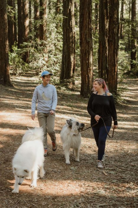 Two women and two dogs in a redwood forest