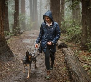 A person in a rain jacket walking a dog in the wet redwood forest