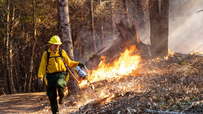 Prescribed burn at Stansberry Ranch Buckeye Ridge.