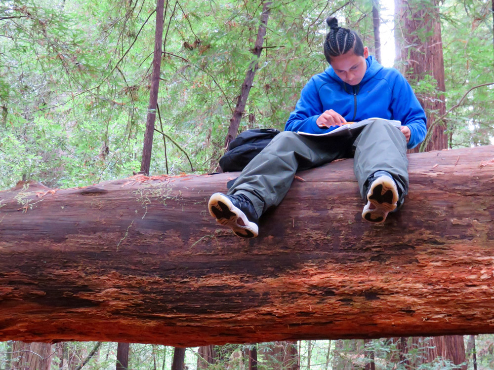 Wilderness Arts and Literacy Collaborative
