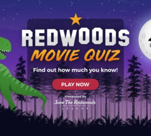 Take the Redwoods Movie Quiz
