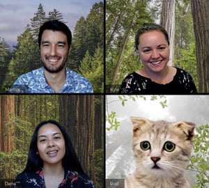 Download these great virtual redwoods backgrounds for your next video meeting
