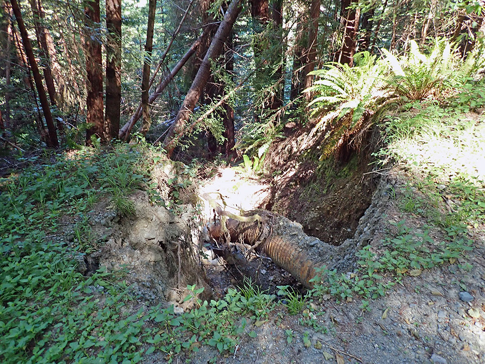 A failed culvert in the Greater Mill Creek project area. Photo by Tarah Burley