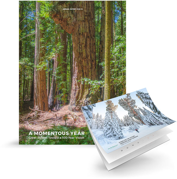 Annual Report 2018-19