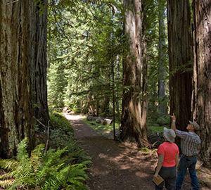 LWCF funding would help us protect the pictured Mailliard Ranch. Photo by Paolo Vescia