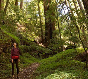 Peters Creek Old-Growth Forest is now protected from development, thanks to your gifts. Photo by Paolo Vescia