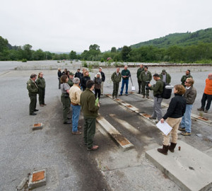 You can help remove this pavement to return this site to the surrounding forest. Photo by Paolo Vescia