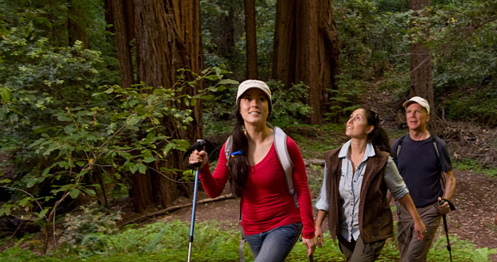 49 redwood parks,California redwood state parks , black friday, thanksgiving