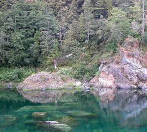 Jedediah Smith Redwoods State Park. Photo by Tom Burke, Flickr Creative Commons