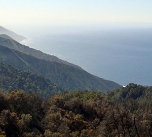 Julia Pfeiffer Burns State Park.