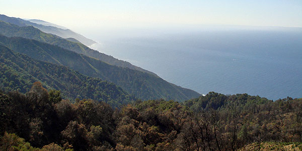 Julia Pfeiffer Burns State Park.