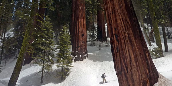 Snowshoeing in Sequoia and Kings Canyon National Parks. Photo by Patrn, Flickr Creative Commons