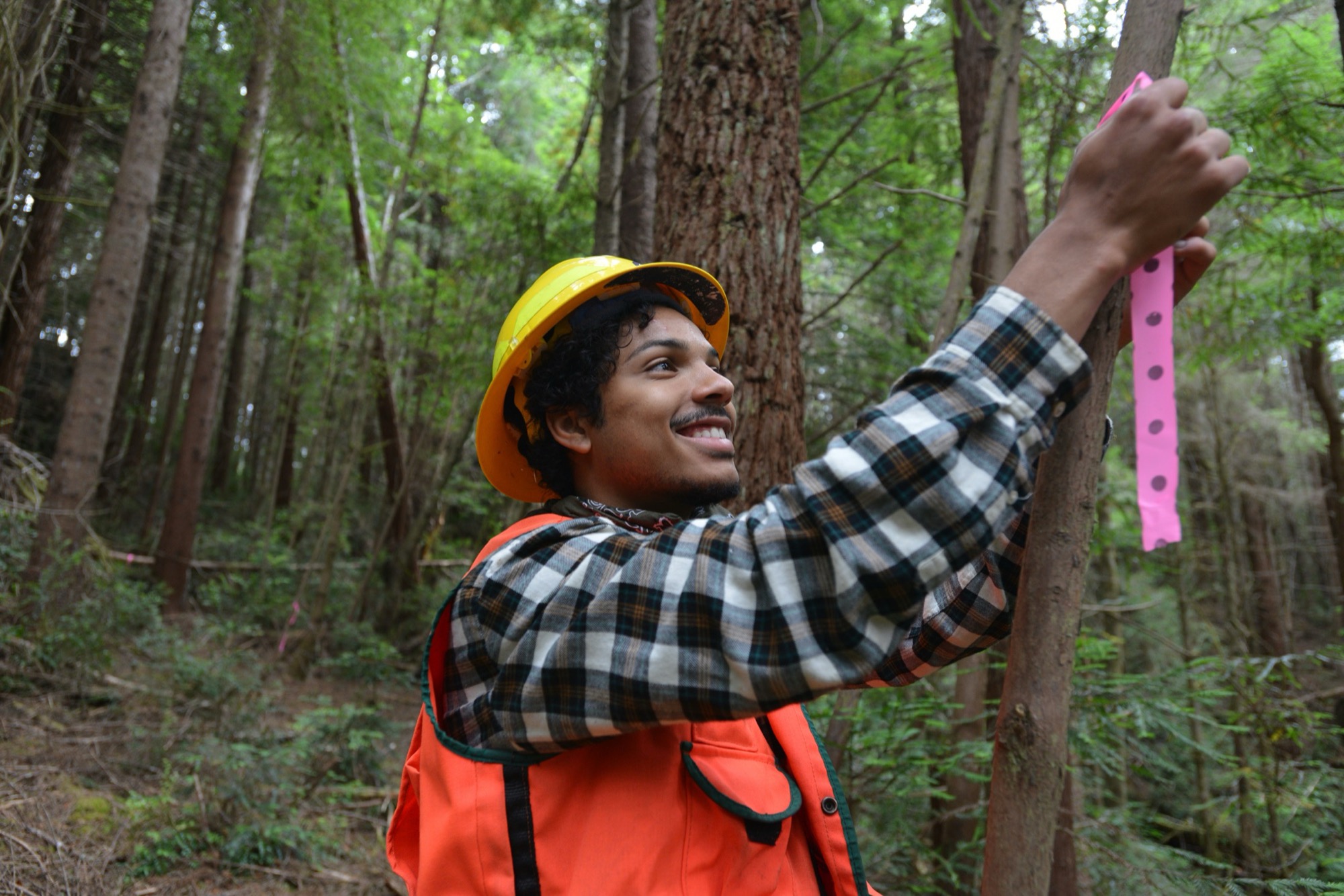Redwood National and State Parks Archives | Save the Redwoods League