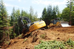 Dozers and excavators can operate on difficult terrain to remove hard-to-reach historic logging roads and skid trails.