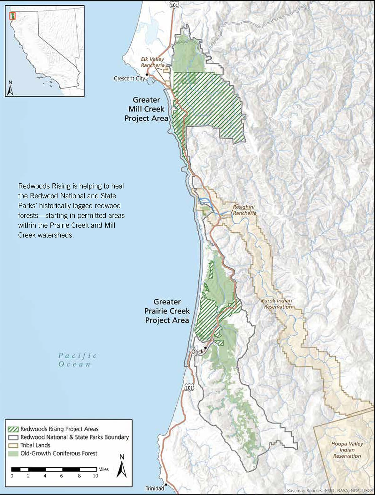 Redwoods Rising Map