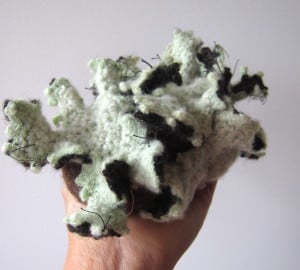 Knitted ruffle lichen by Celeste Woo.