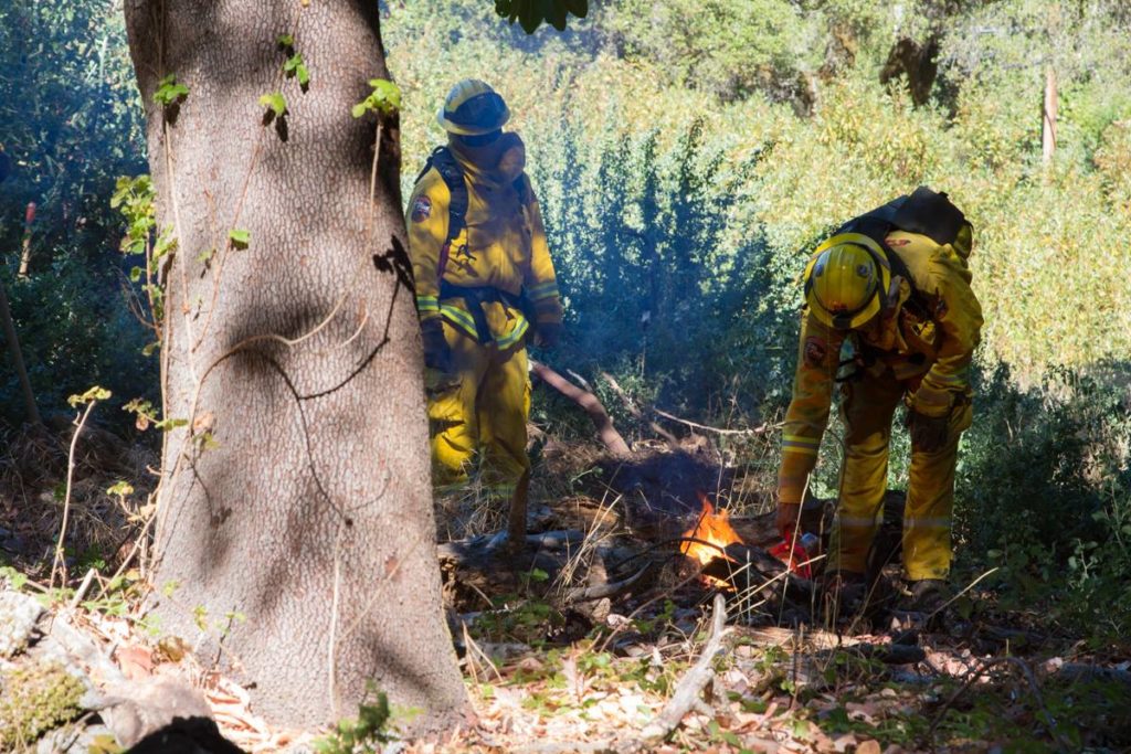 San Vicente Redwoods prescribed burn. Photo courtesy of Sempervirens Fund