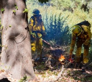 San Vicente Redwoods prescribed burn. Photo courtesy of Sempervirens Fund