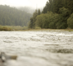 Redwood Creek flows through Redwood National and State Parks before reaching the ocean.