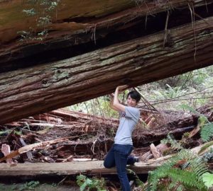 A woman stands underneath a large diagonal tree trunk with her hands against the traunk overhead.