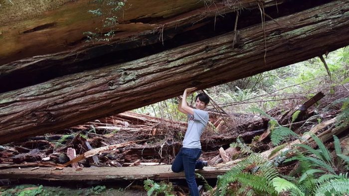 A woman stands underneath a large diagonal tree trunk with her hands against the traunk overhead.