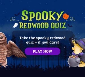 Spooky Redwood Quiz