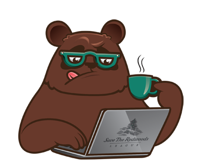 bear reading the blog