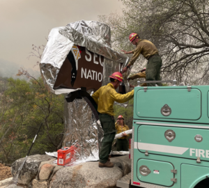 Firefighters wrap the Sequoia National Park sign in foil to prepare for wildfire