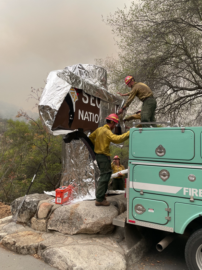 Giant Sequoia trees in Sequoia NP being protected from fire with structure  protection wrap - Wildfire Today