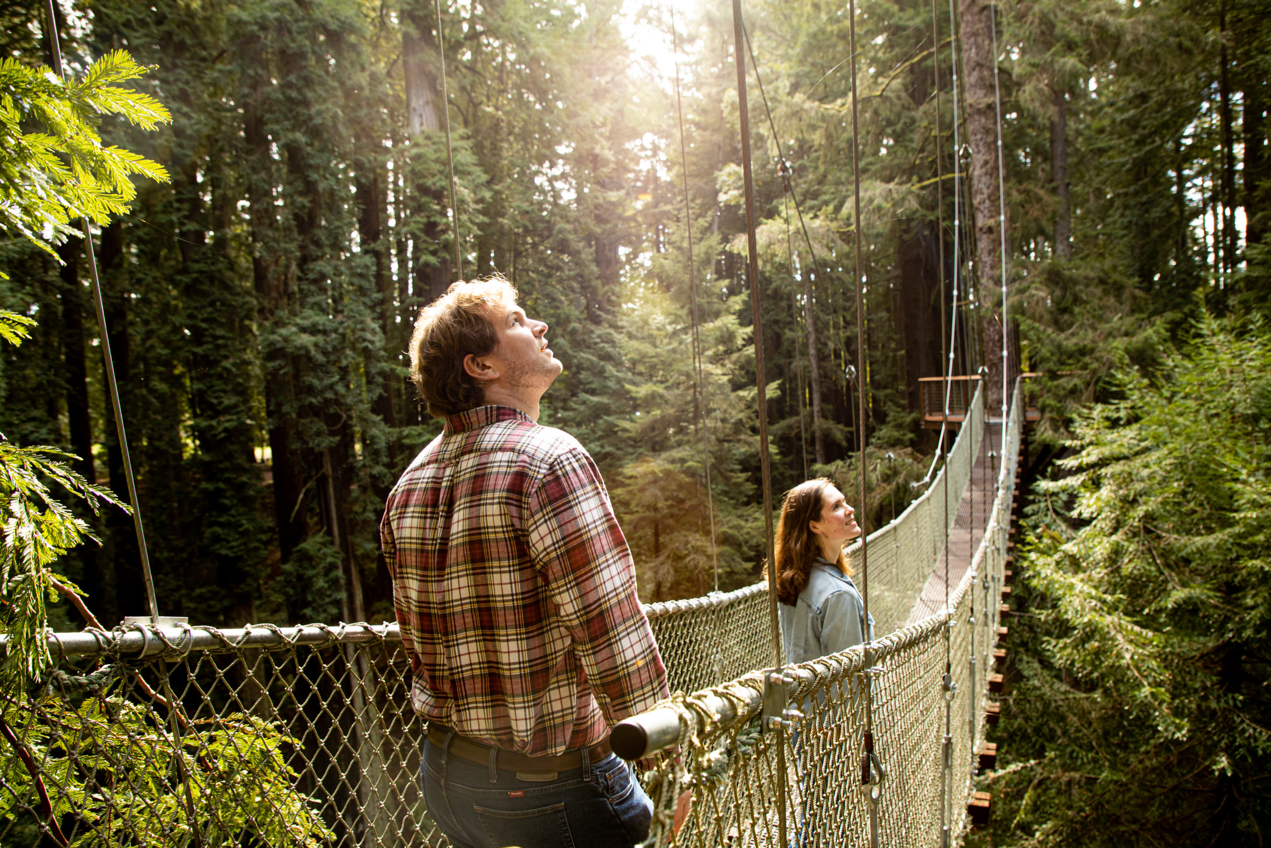 Redwood Sky Walk set to take nature lovers to new heights | Save the  Redwoods League