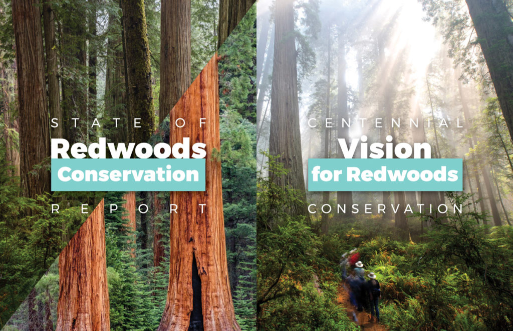 Unveil the League’s first State of Redwoods Conservation Report, showing that redwood ecosystems are facing some of their most significant challenges, and present our Centennial Vision for Redwoods Conservation, describing how we will meet these challenges in the years to come