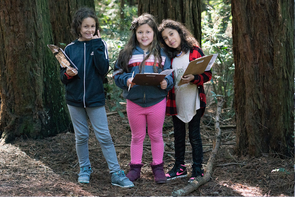 Reached 16,000 students in California through the League’s education programs and over 5,000 more worldwide through new digital field trips to Calaveras Big Trees State Park