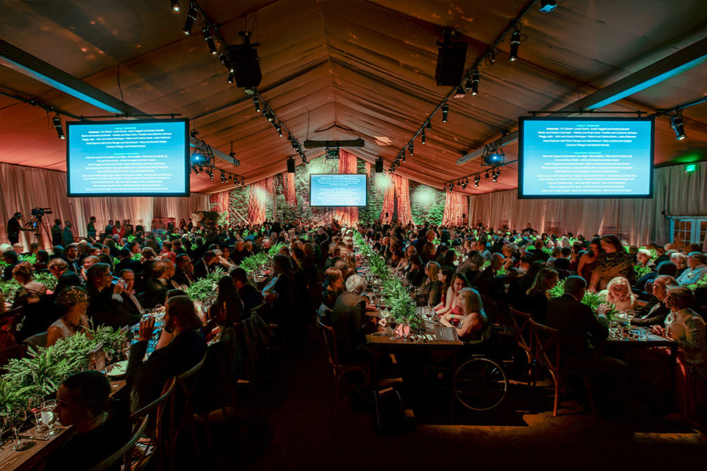 Raised nearly $2 million at our Centennial Celebration Gala, benefitting thousands of students and millions of park visitors with improved access, education, and amenities within the redwood parks