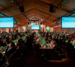 Raised nearly $2 million at our Centennial Celebration Gala, benefitting thousands of students and millions of park visitors with improved access, education, and amenities within the redwood parks