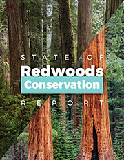 State of Redwoods Conservation Report