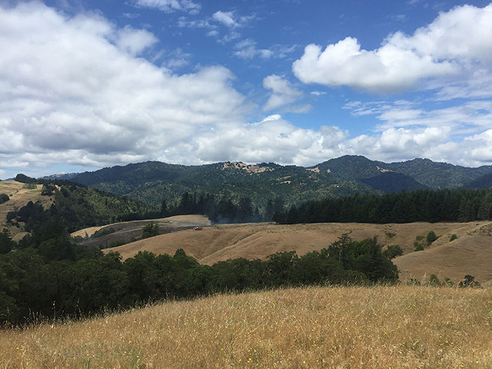 Humboldt County landscape