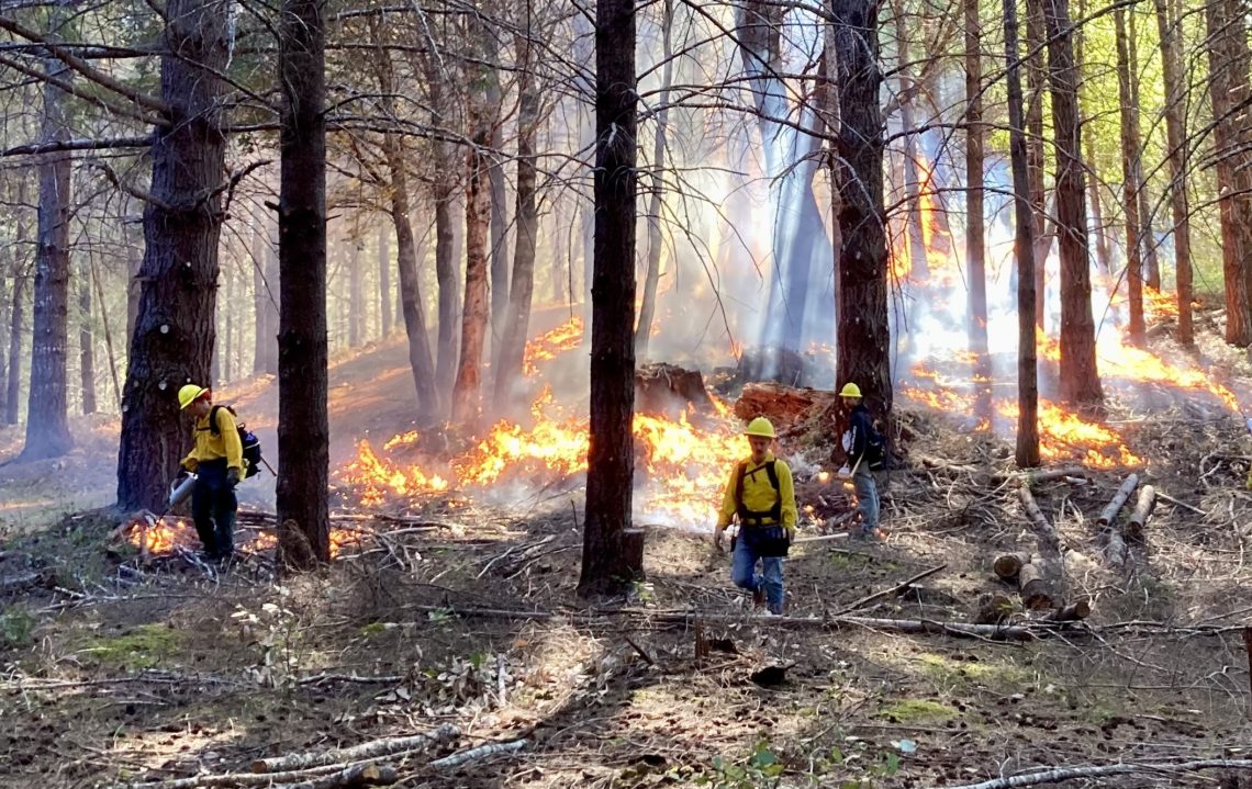 burning on Stansberry Ranch