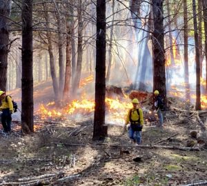 burning on Stansberry Ranch