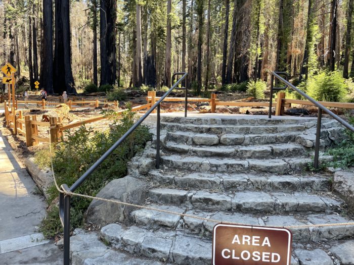 big basin headquarters steps