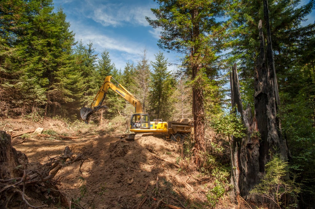 The excavator scoops soil from a stream crossing filled with dirt during past road construction, and loads it into a dump truck to be hauled off to a disposal site.