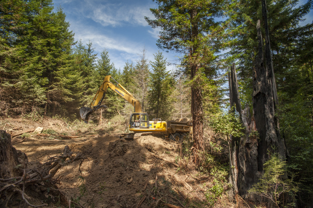 The excavator scoops soil from a stream crossing filled with dirt during past road construction, and loads it into a dump truck to be hauled off to a disposal site.