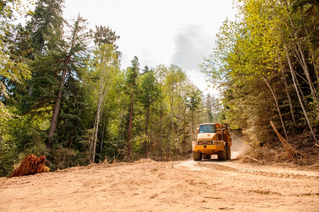 League members’ gifts support the decommissioning of logging roads like this one in the Headwaters Forest Reserve. Dump trucks like this one help move roadbed soil from eroding areas or buried stream crossings to stable areas to restore the land’s original contours. Photos by Humboldt State University