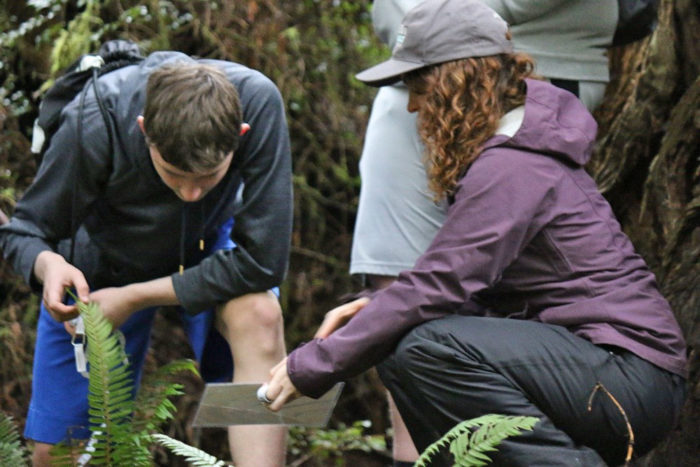 Students learning scientific field techniques