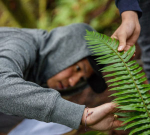 Student observes the sword fern leaves