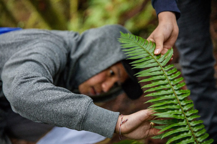 Student observes the sword fern leaves