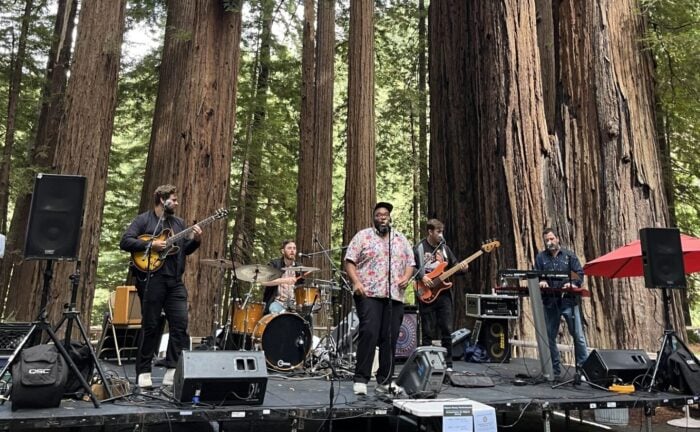 A band plays on a stage in front of redwood trees.