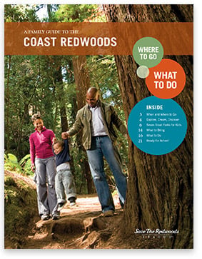 A Family Guide to the Coast Redwoods