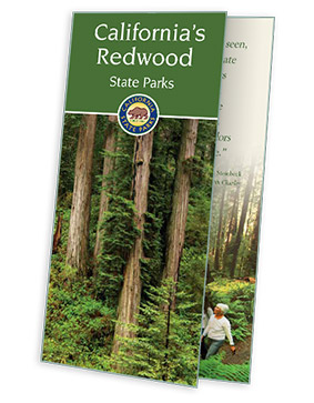 Free California's Redwood State Parks Guide